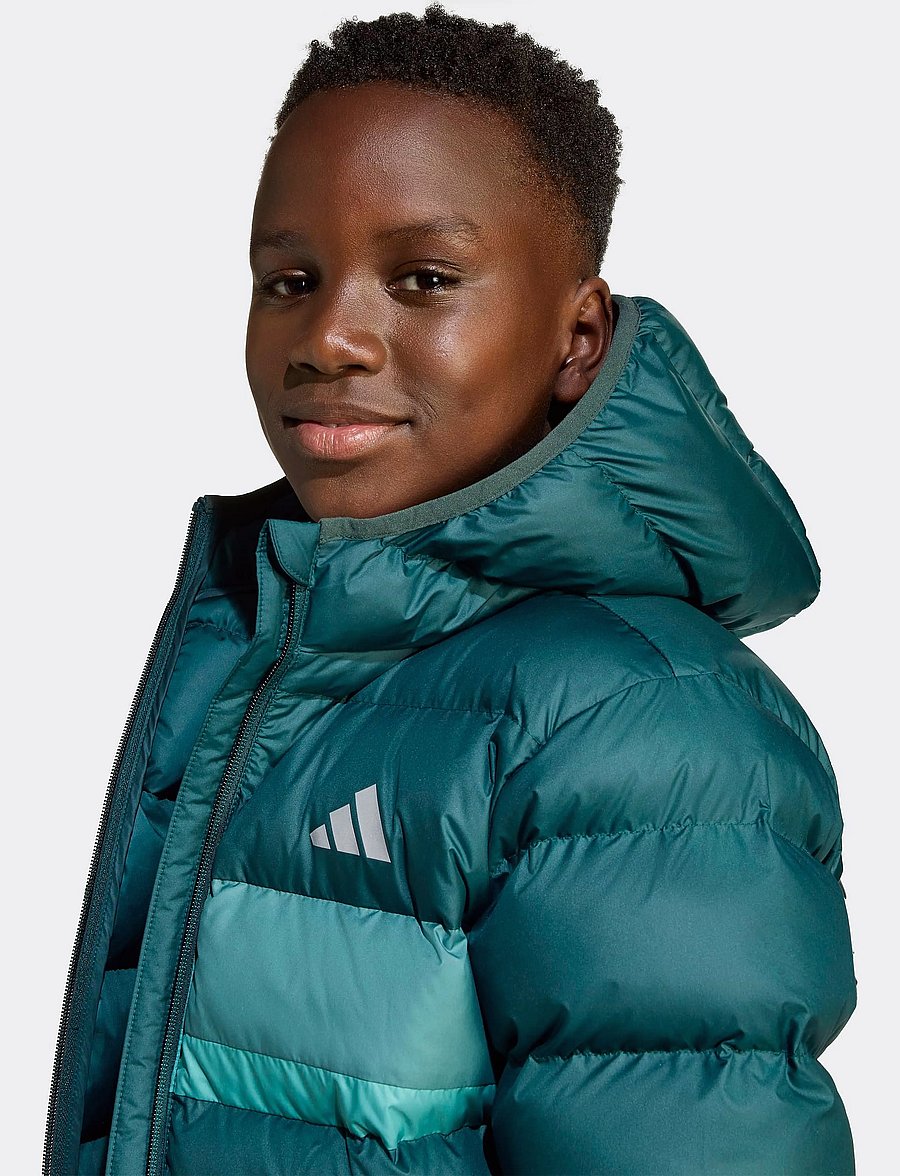 adidas Sportswear - J SD JKT - isolierte jacken - aurivy/pretea/powtea - 2