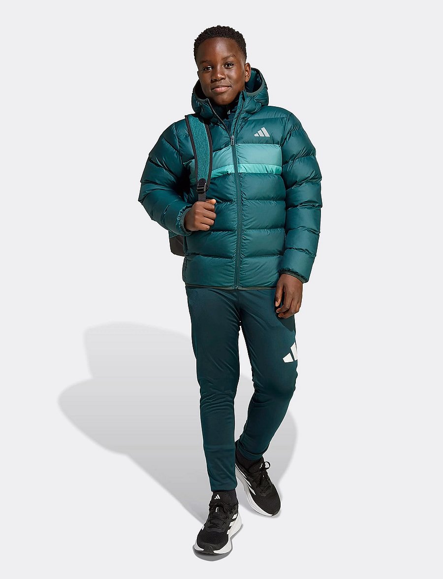 adidas Sportswear - J SD JKT - isolierte jacken - aurivy/pretea/powtea - 4