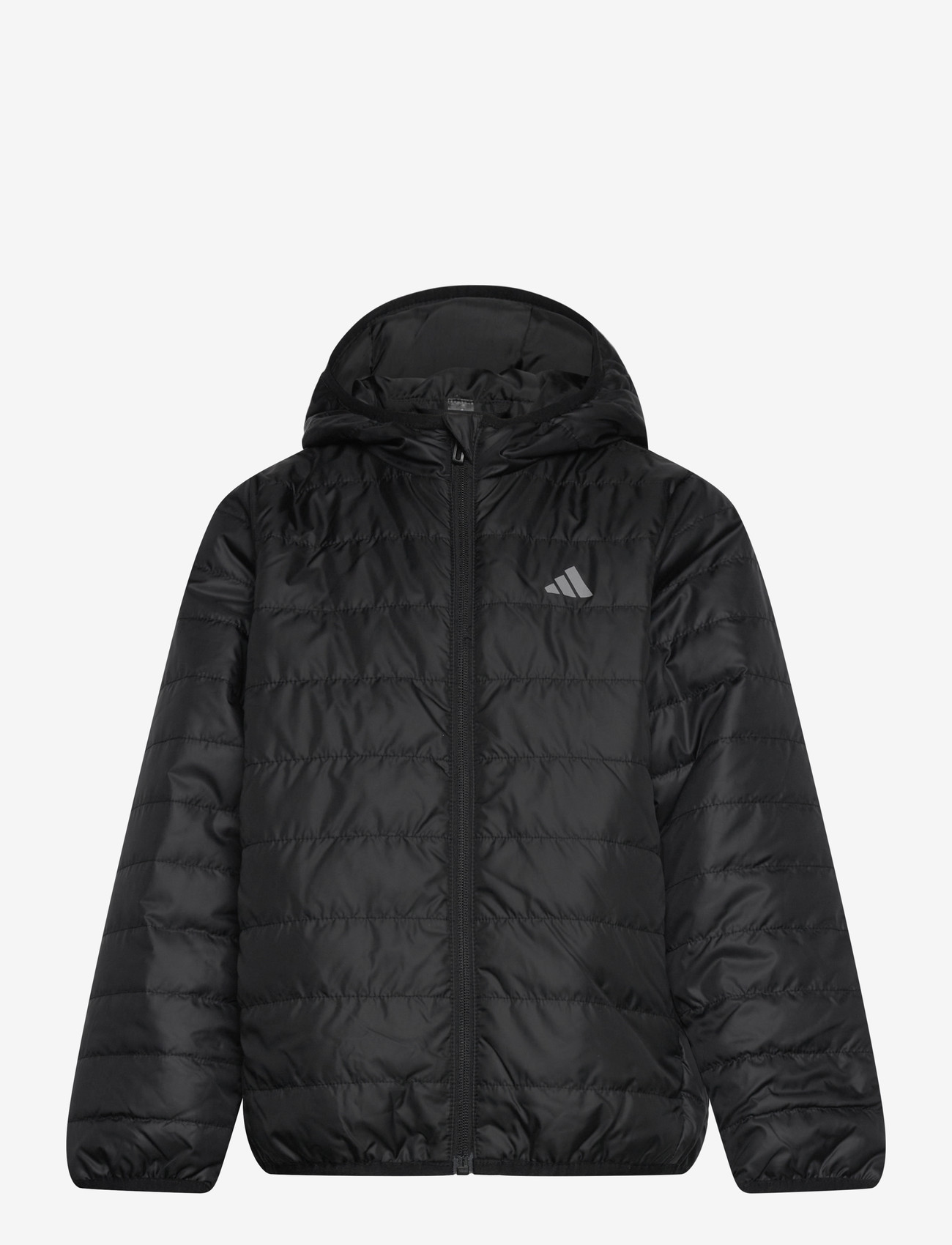adidas Sportswear - J ESS L PAD JKT - isolerade jackor - black/refsil - 0