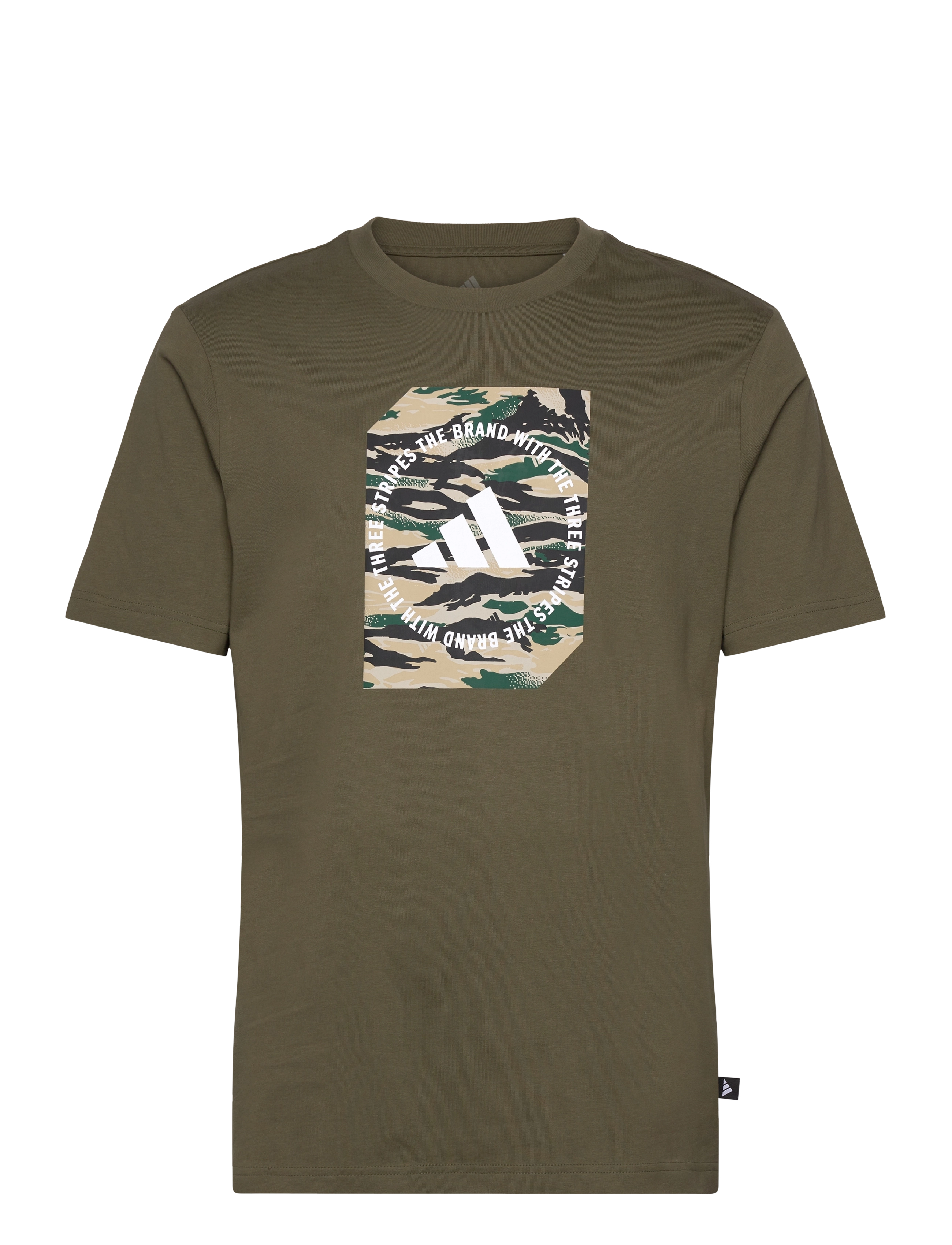 adidas Sportswear M C CAMO BOX T - T-paidat - OLISTR / khaki/green
