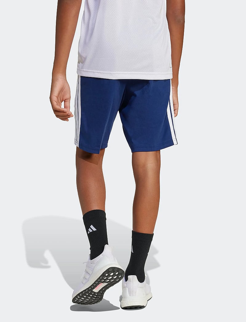 adidas Sportswear - B 3S SHO - sporta šorti - dkblue - 5