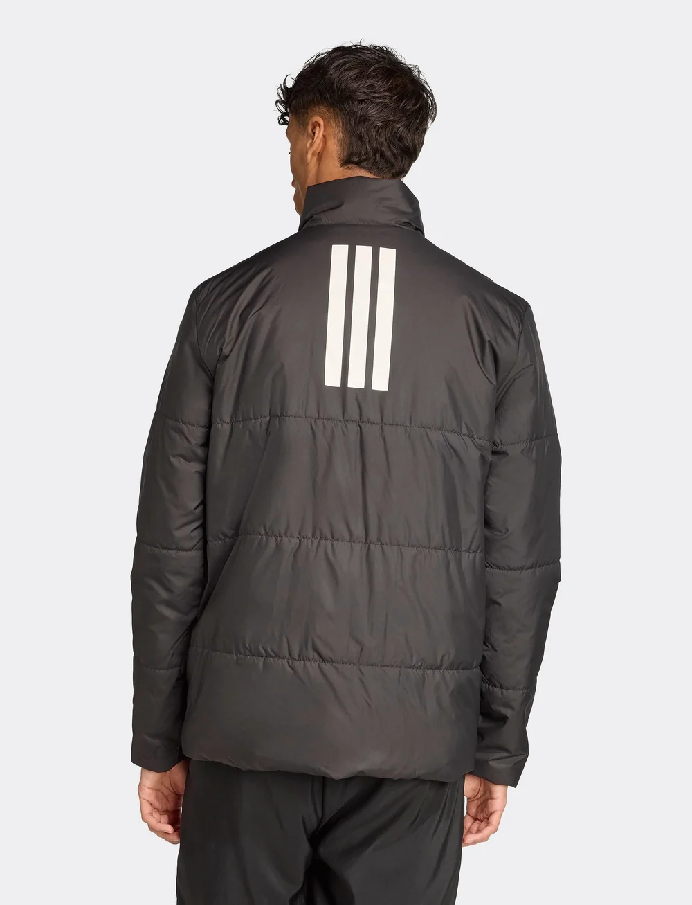 adidas Sportswear - BSC 3S INS JKT - friluftsjakker - black - 3