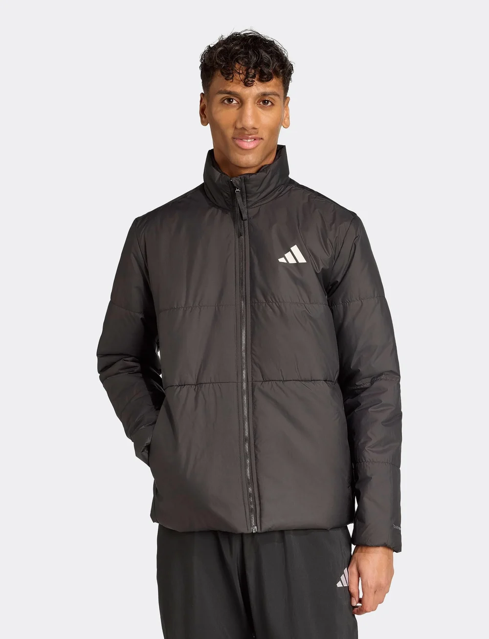 adidas Sportswear - BSC 3S INS JKT - friluftsjakker - black - 5