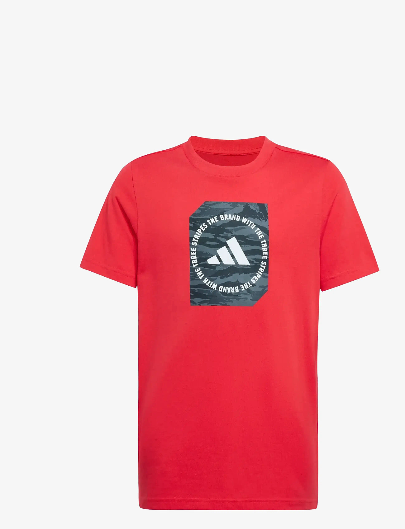 adidas Sportswear - B CAMO BOX - kortärmade t-shirts - purrub - 1