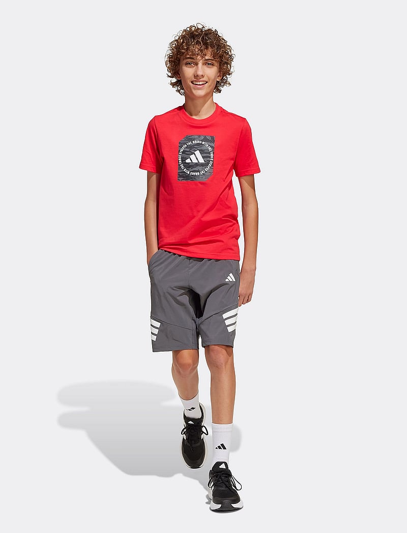 adidas Sportswear - B CAMO BOX - kortärmade t-shirts - purrub - 0