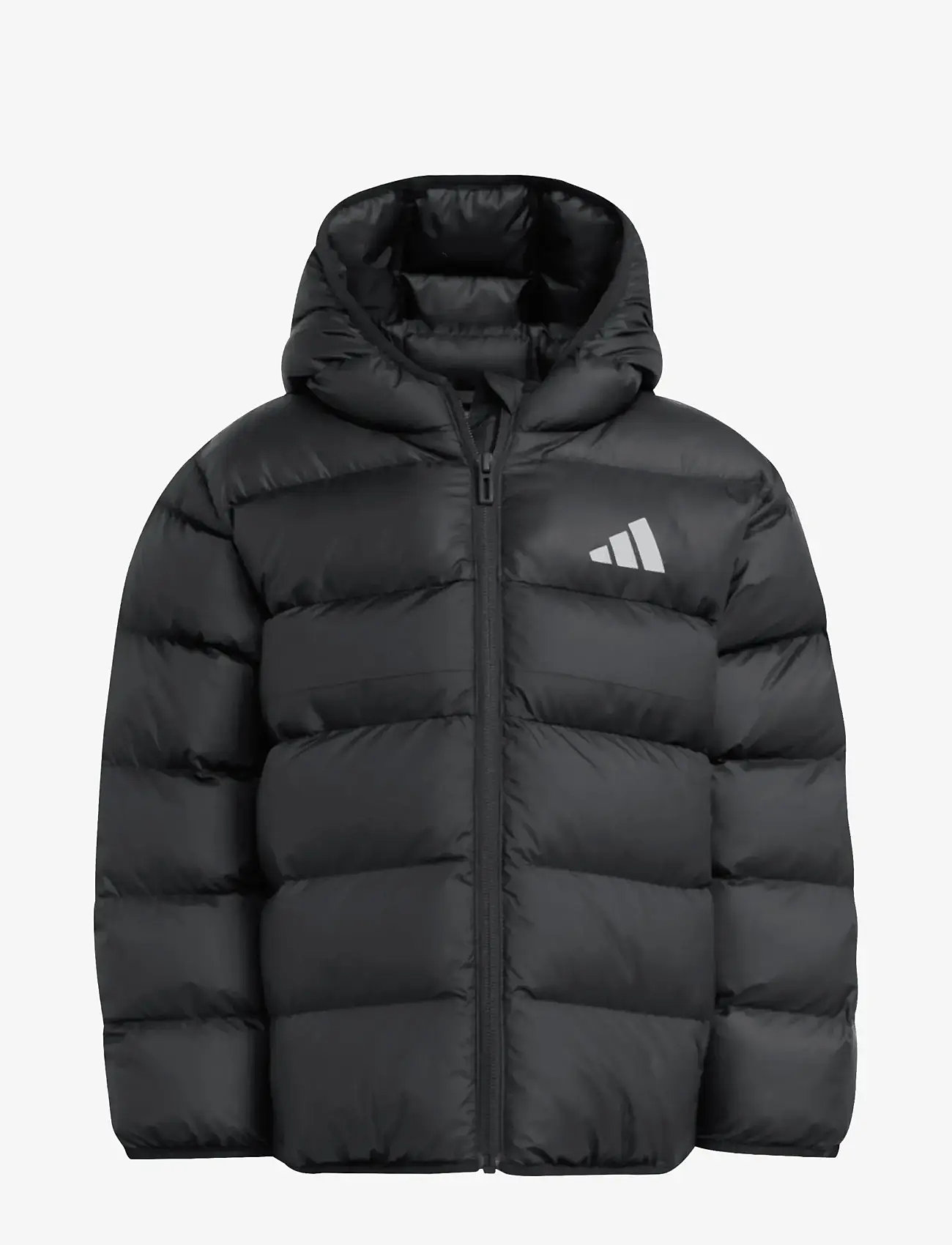 adidas Sportswear - LK SD JKT - insulated jackets - black/black/black - 1