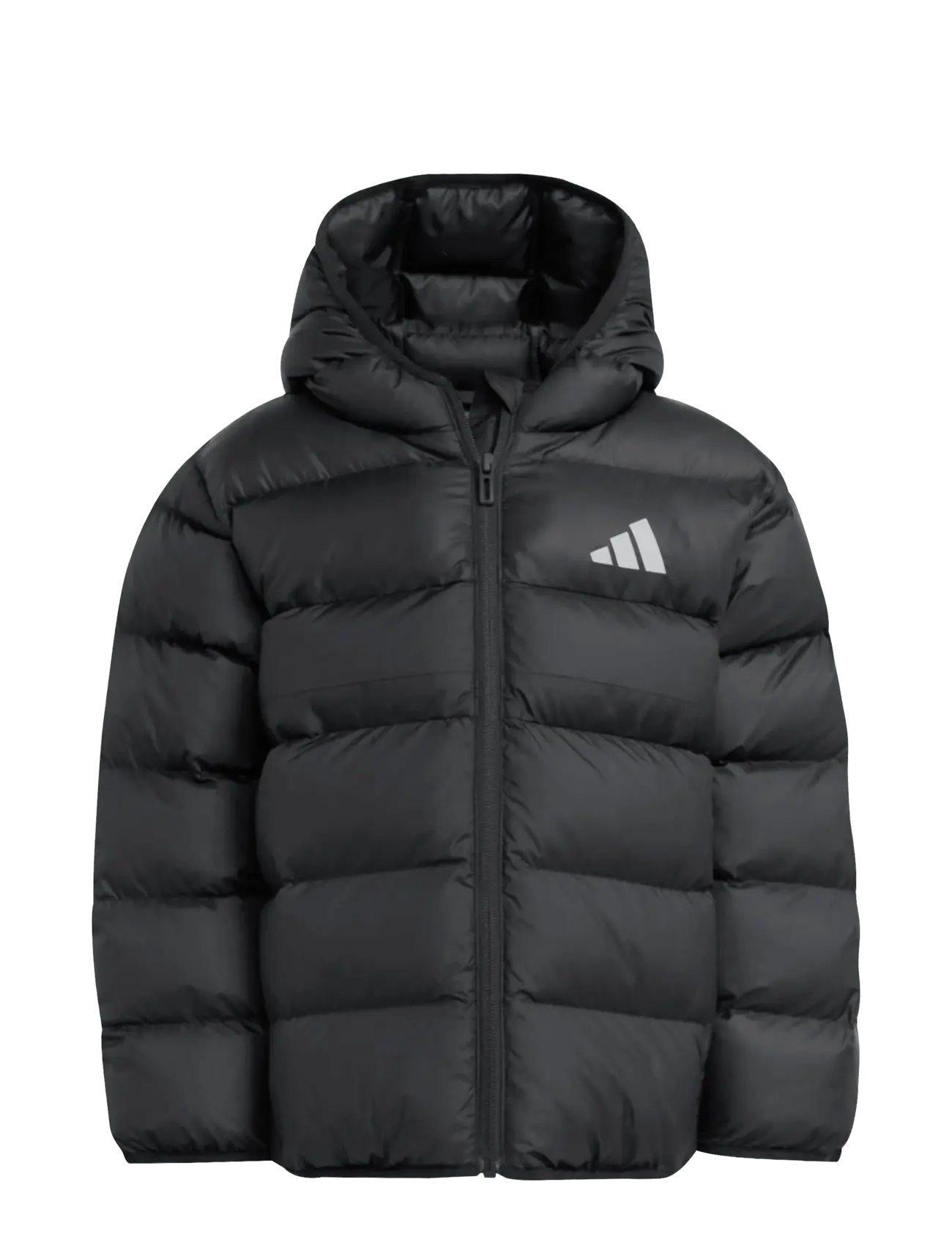 adidas Sportswear LK SD JKT - Vinterjakker - BLACK/BLACK/BLACK / black