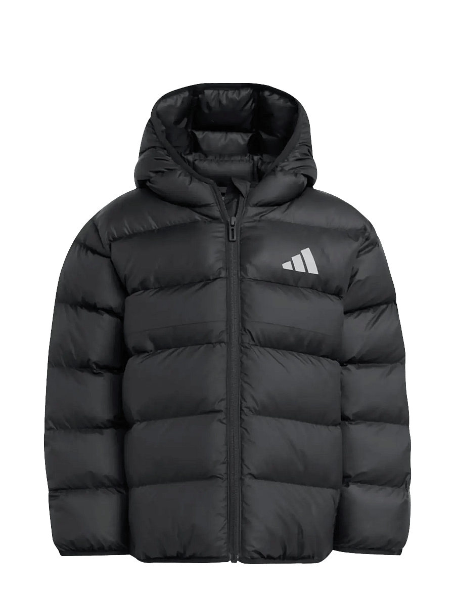 adidas Sportswear - LK SD JKT - einangraðir jakkar - black/black/black - 1