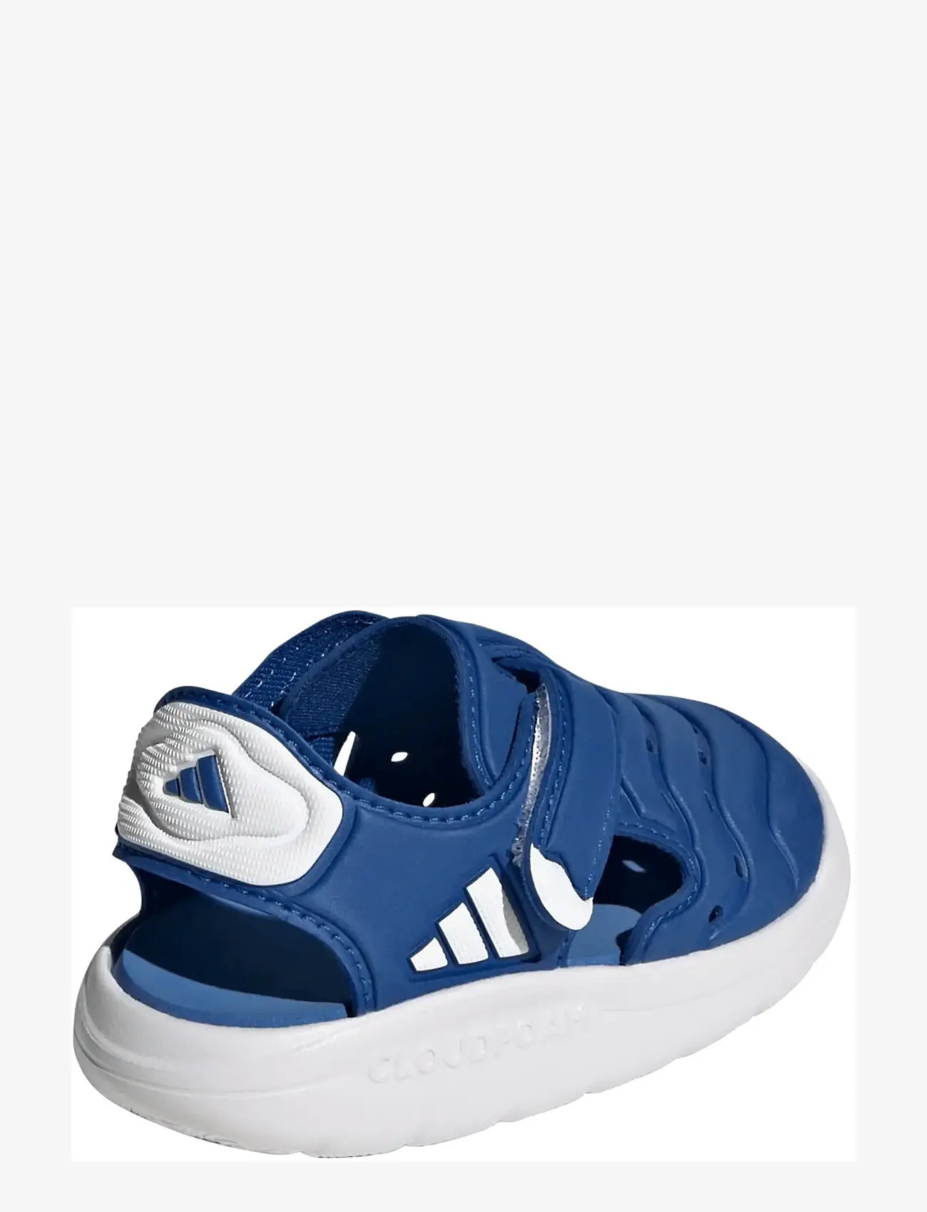adidas Sportswear - WATER SANDAL 2 I - water shoes - royblu/ftwwht/rayblu - 3