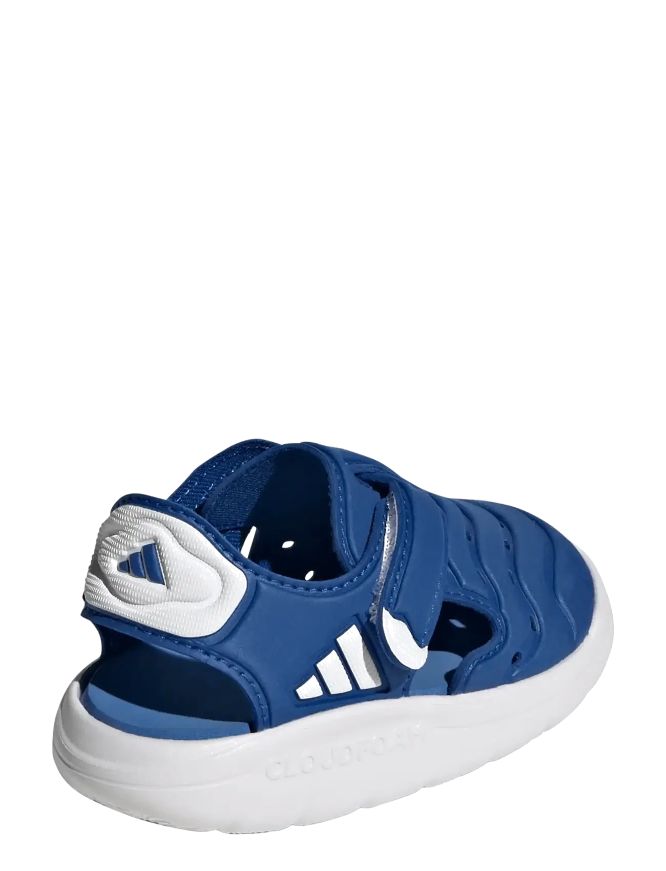 adidas Sportswear - WATER SANDAL 2 I - vandsko - royblu/ftwwht/rayblu - 3