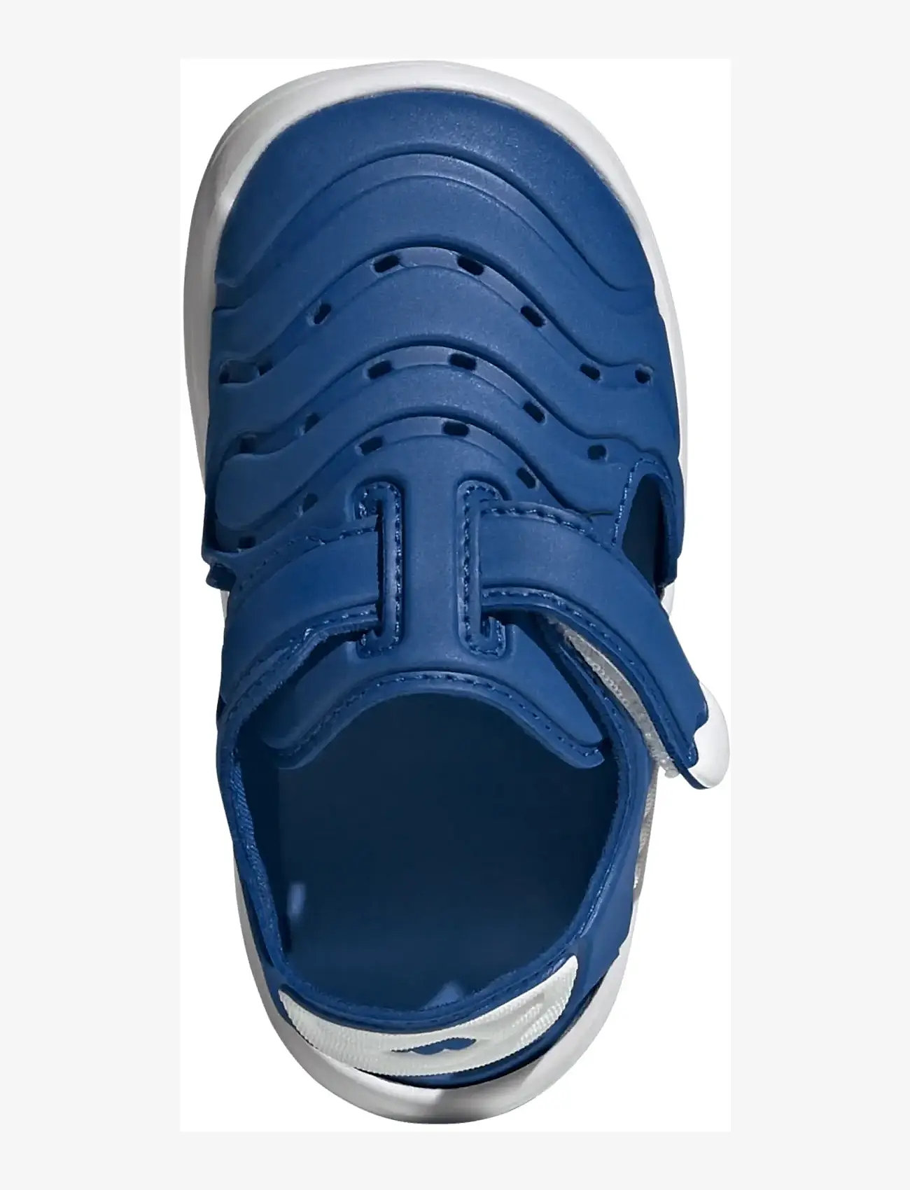 adidas Sportswear - WATER SANDAL 2 I - water shoes - royblu/ftwwht/rayblu - 4