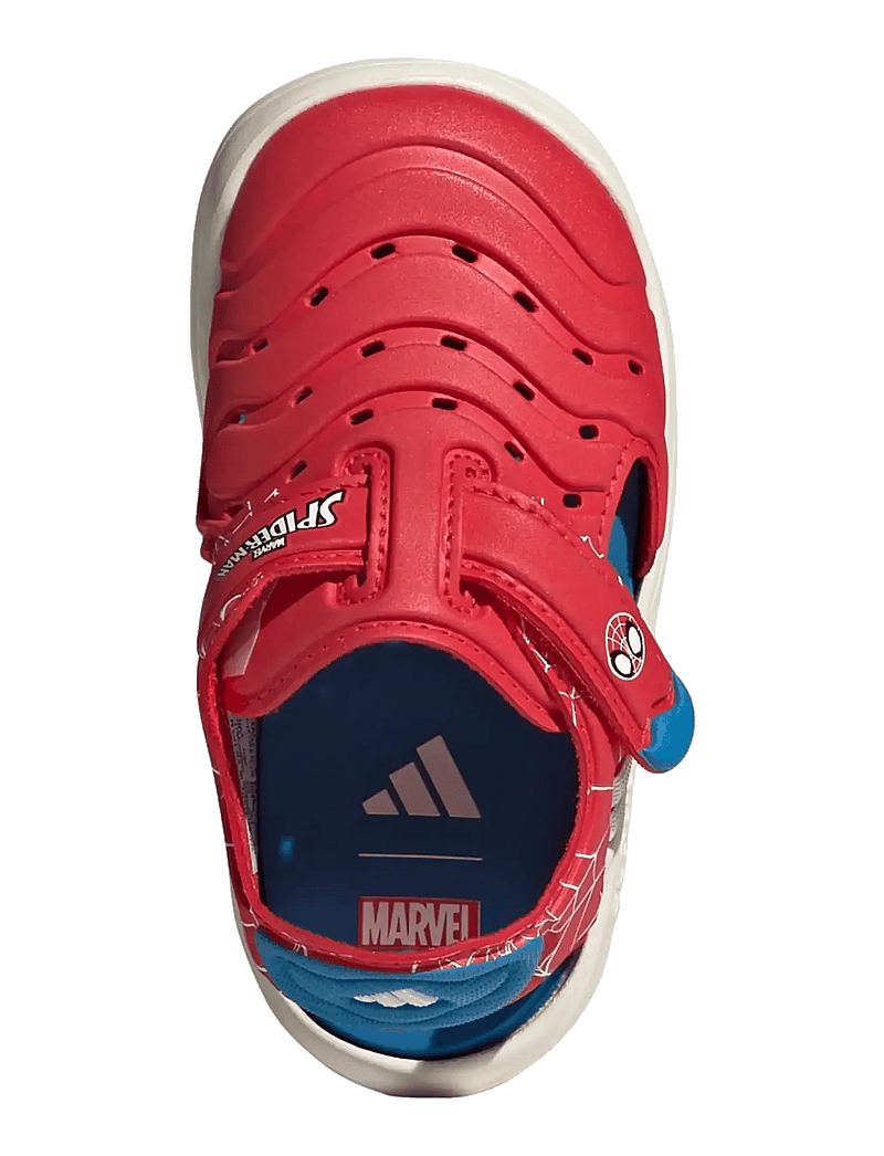 adidas Sportswear - WATER SANDAL SPIDER-MAN I - badskor - purrub/ftwwht/brblue - 4