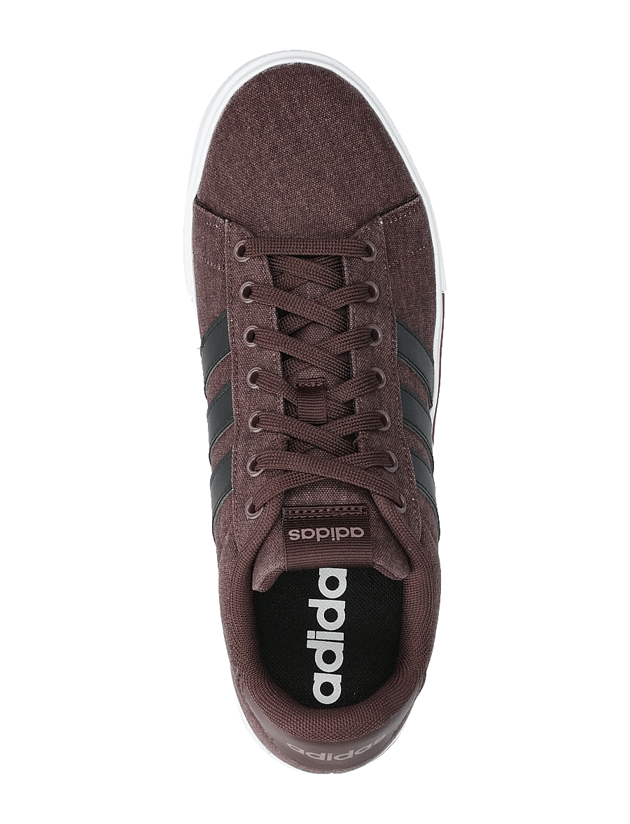 adidas Sportswear - DAILY 4.0 - ar zemu augšdaļu - shabrn/cblack/ftwwht - 3
