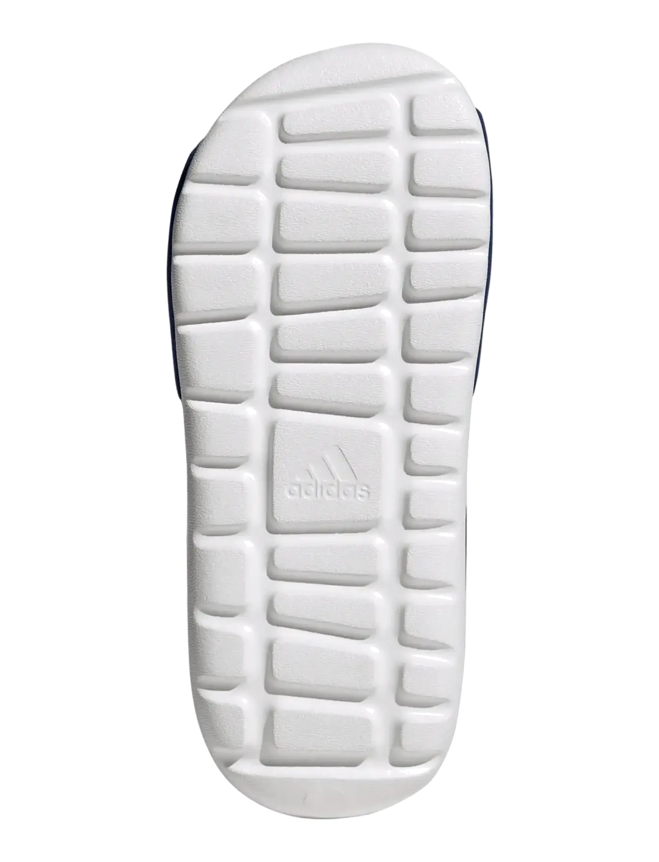 adidas Sportswear - ALTASWIM 3 C - sko - royblu/ftwwht/royblu - 5