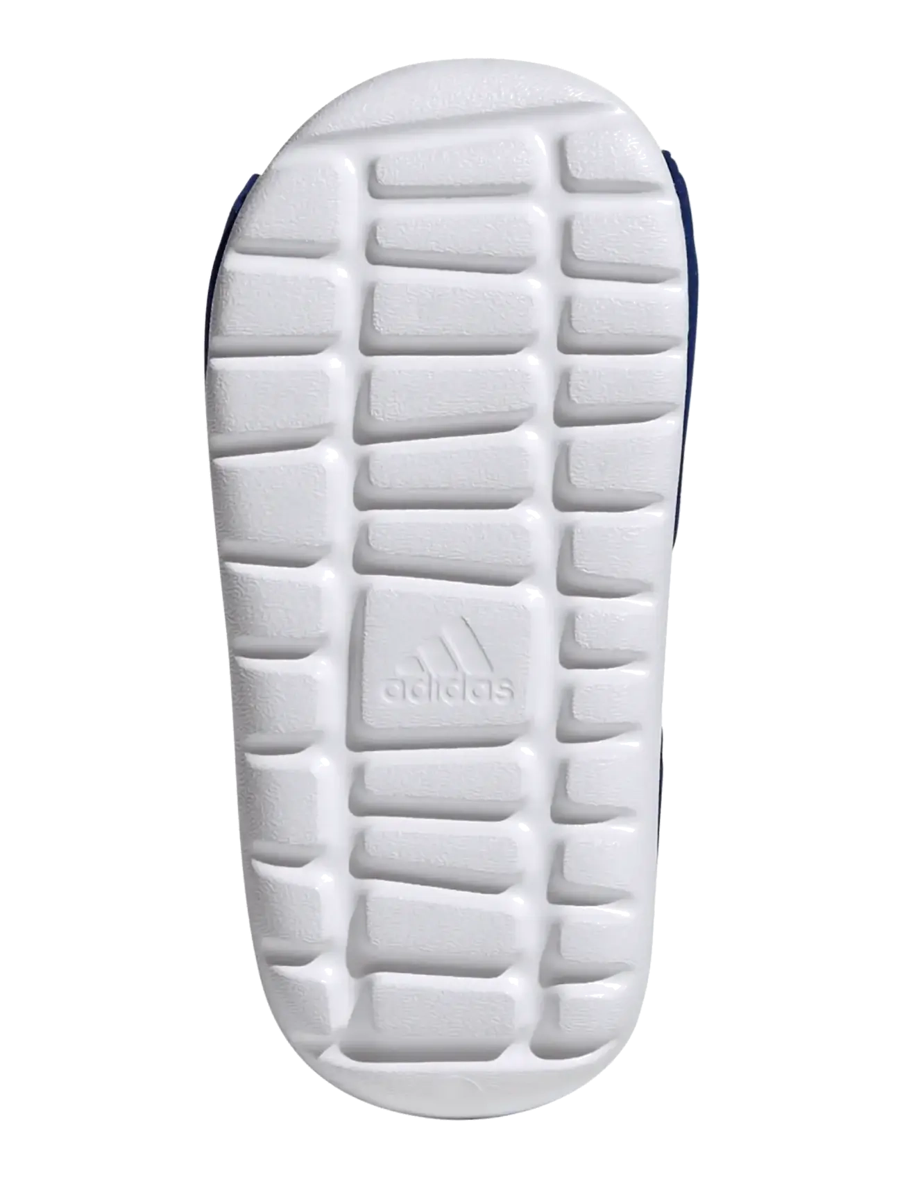 adidas Sportswear - ALTASWIM 3 I - sko - royblu/ftwwht/royblu - 5