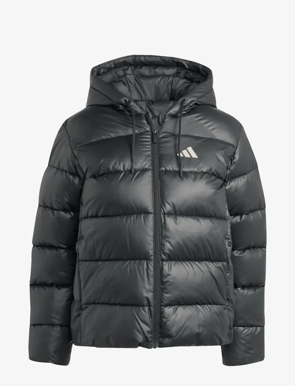 adidas Sportswear - W ESS SD P HD J - utejakker - black - 1