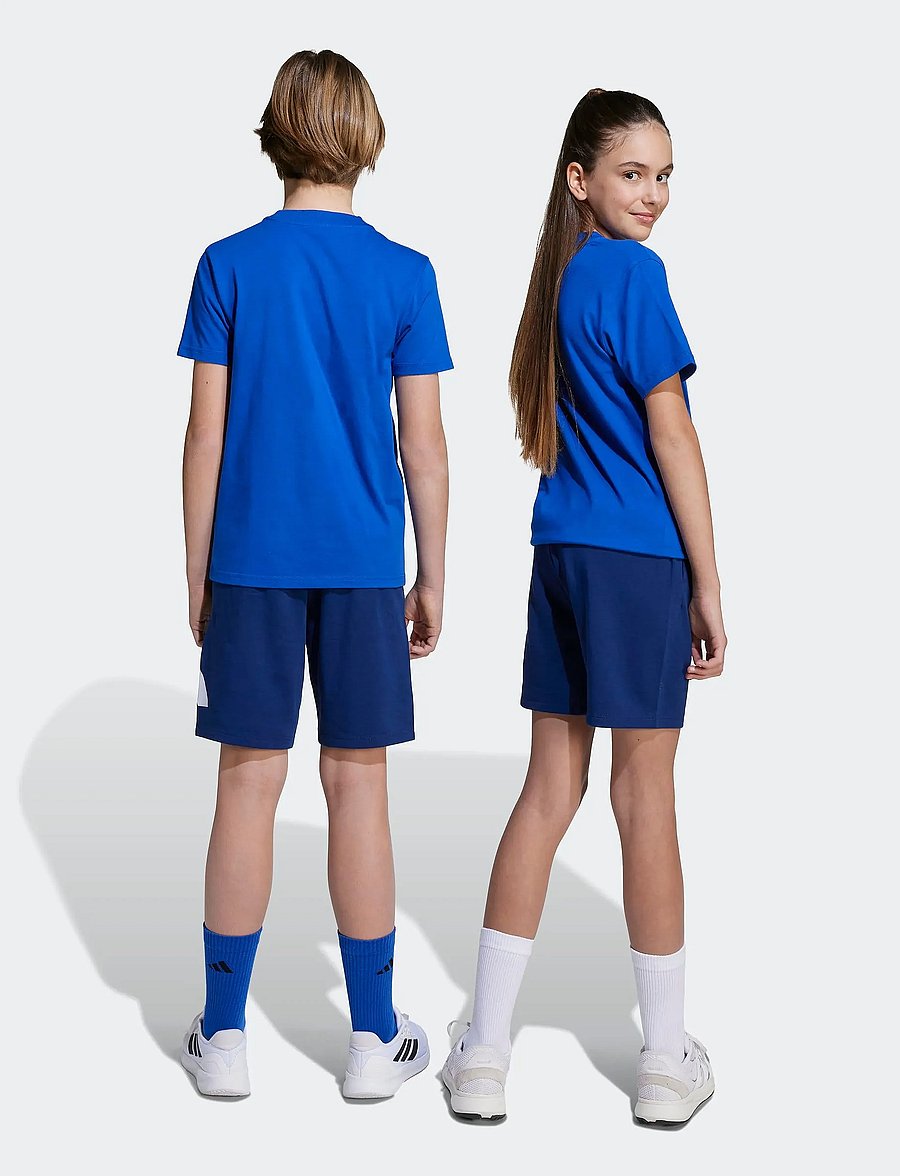 adidas Sportswear - J BL T-SET - 2-teilige sets - royblu/white - 5