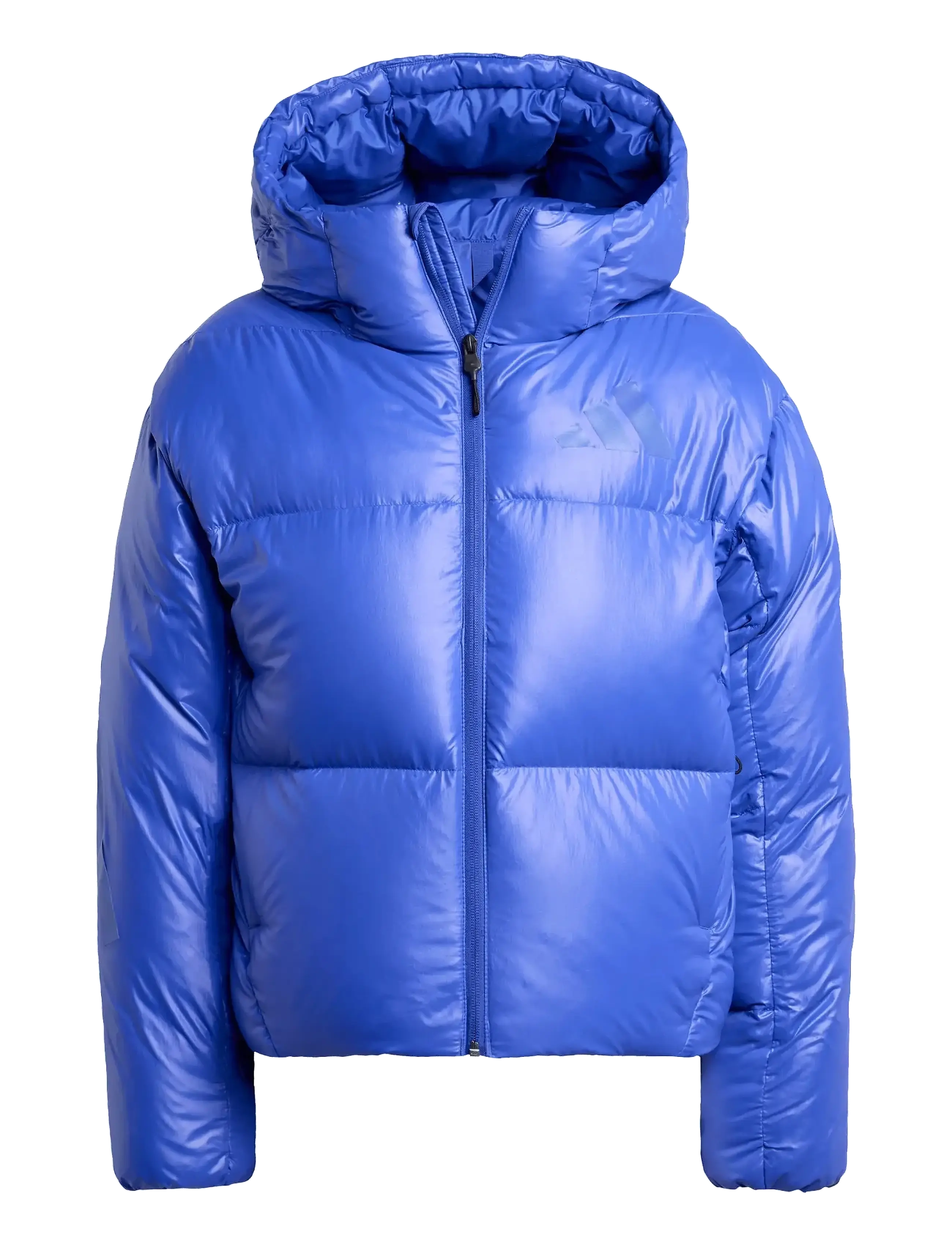 adidas Sportswear W Z.N.E. PUFFER - Joped - SELUBL / blue