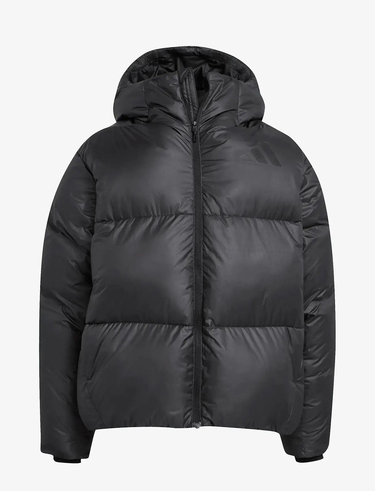 adidas Sportswear - J Z.N.E. JKT - isolierte jacken - black - 1