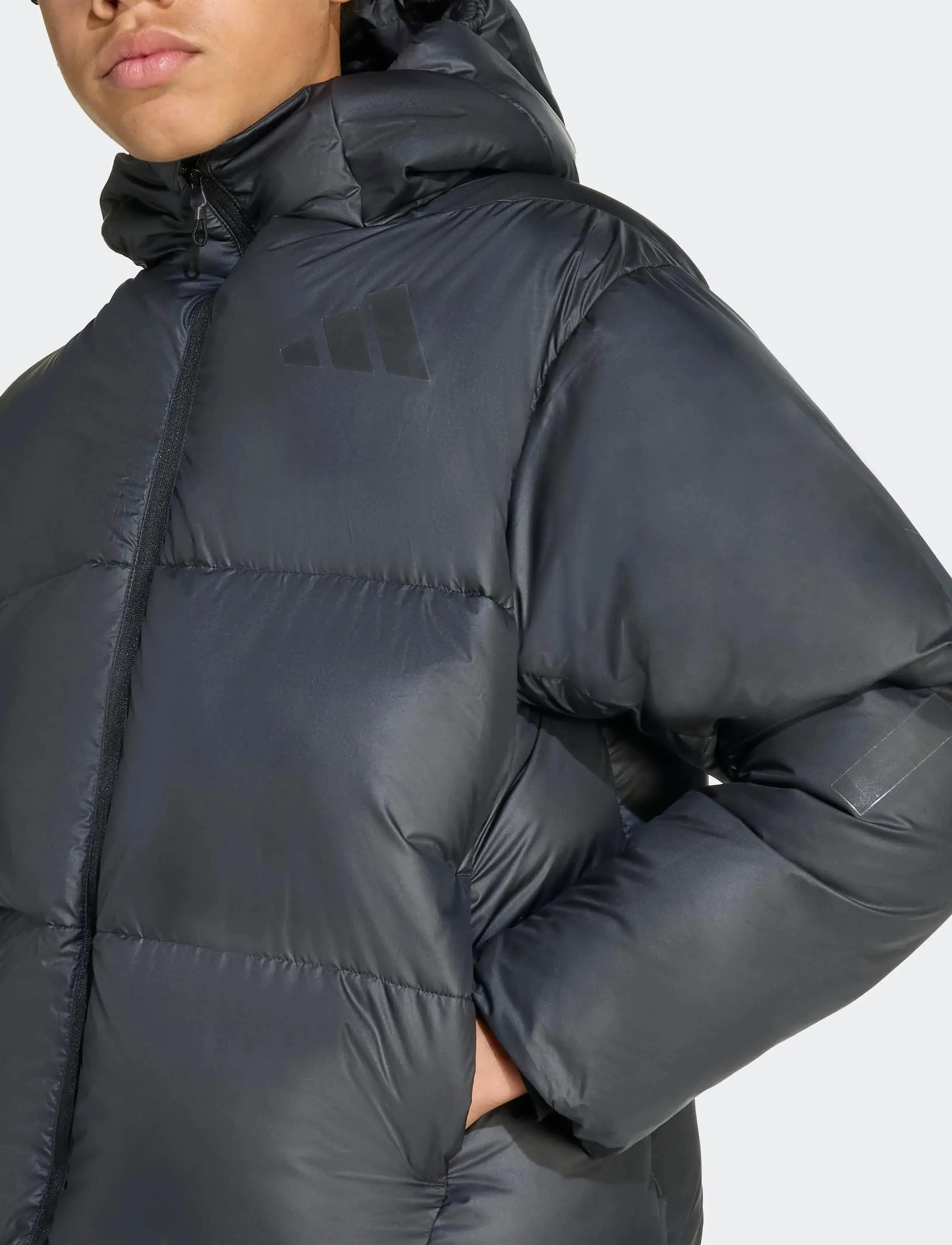 adidas Sportswear - J Z.N.E. JKT - striukės su izoliacija - black - 2