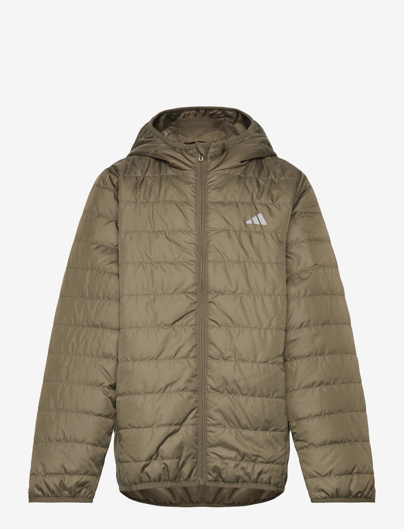 adidas Sportswear - J ESS L PAD JKT - paksud joped - olistr/refsil - 0