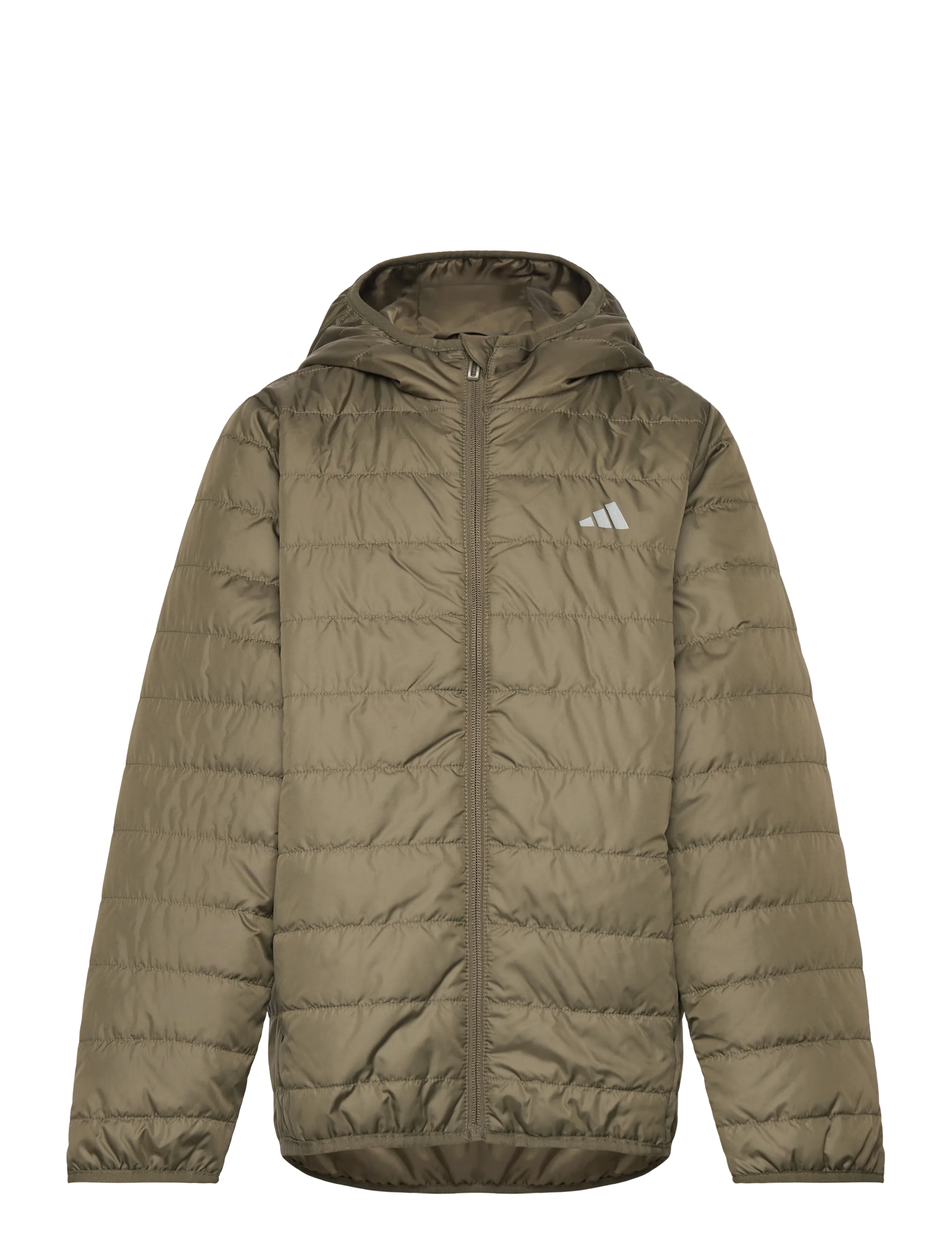 adidas Sportswear J ESS L PAD JKT - Insulated jackets - OLISTR/REFSIL / khaki/green