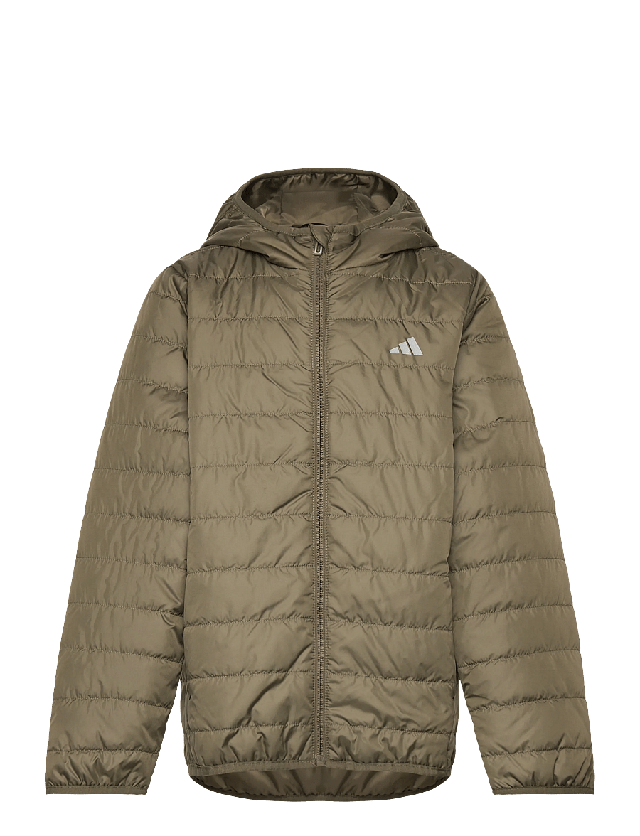adidas Sportswear - J ESS L PAD JKT - isolerte jakker - olistr/refsil - 0