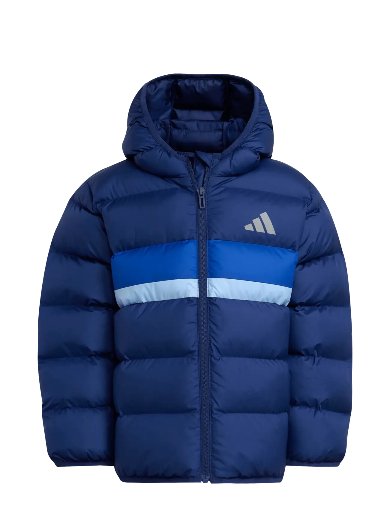 adidas Sportswear LK SD JKT - Vintertøj - DKBLUE/ROYBLU/GLOBLU / blue