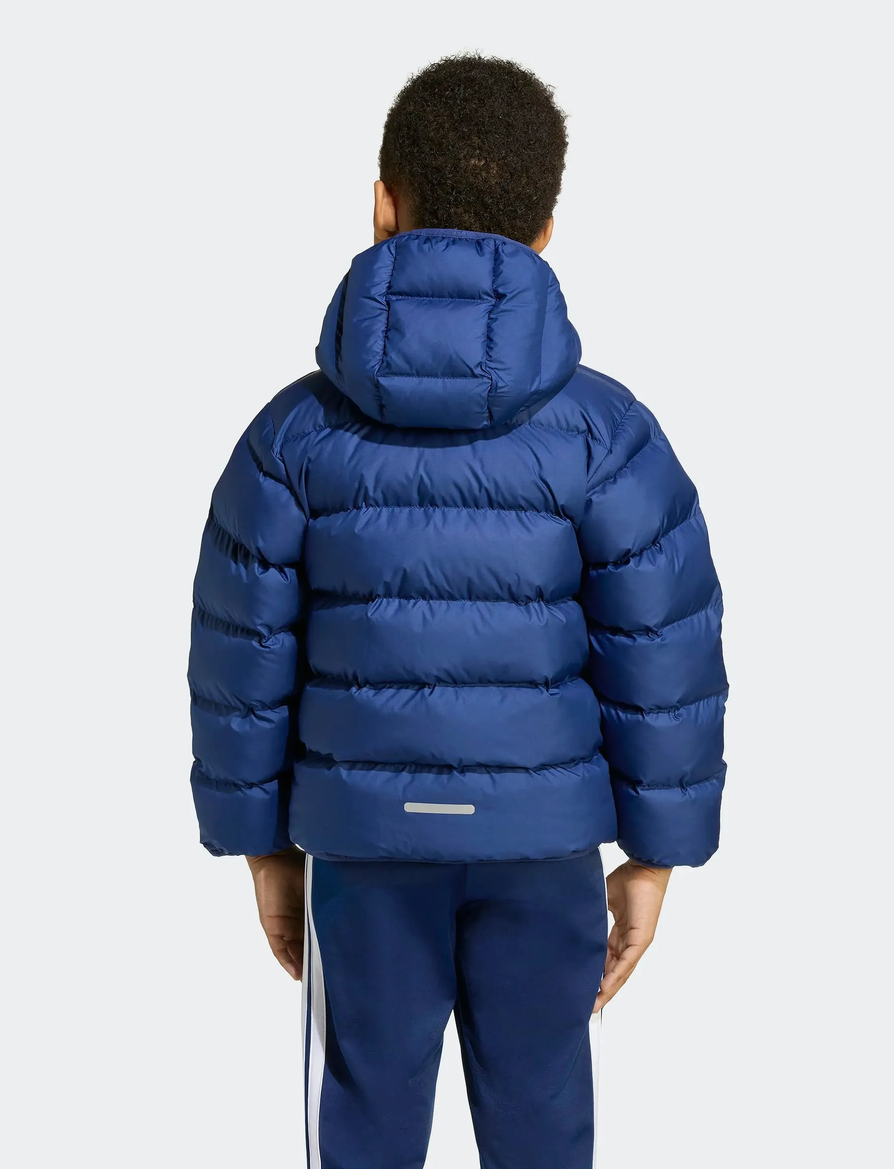 adidas Sportswear - LK SD JKT - vinterjakker - dkblue/royblu/globlu - 2