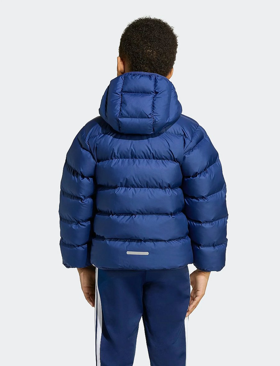 adidas Sportswear - LK SD JKT - vinterjakker - dkblue/royblu/globlu - 2