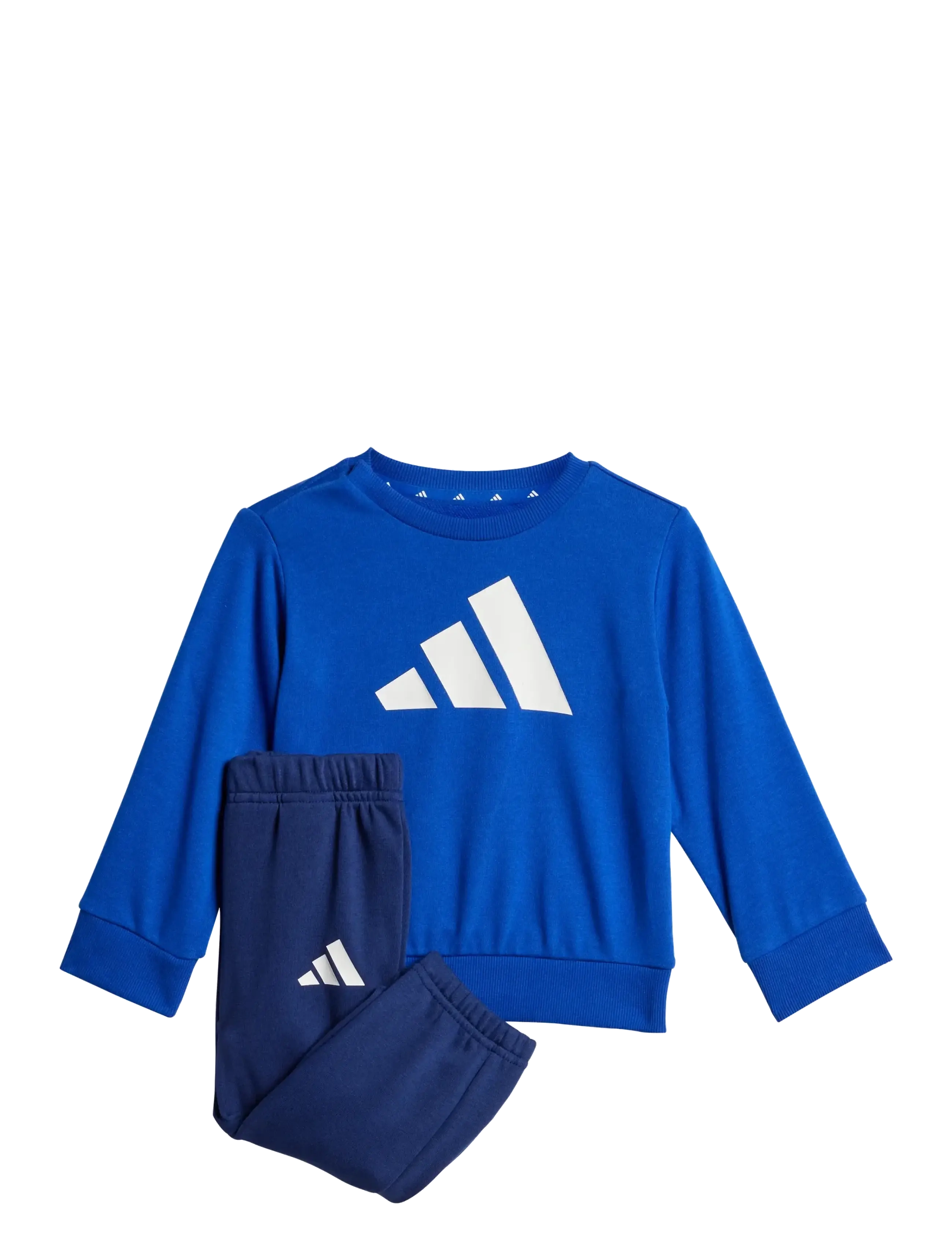 adidas Sportswear I BL FT JOG 240 - Kleidung - ROYBLU/WHITE / blue