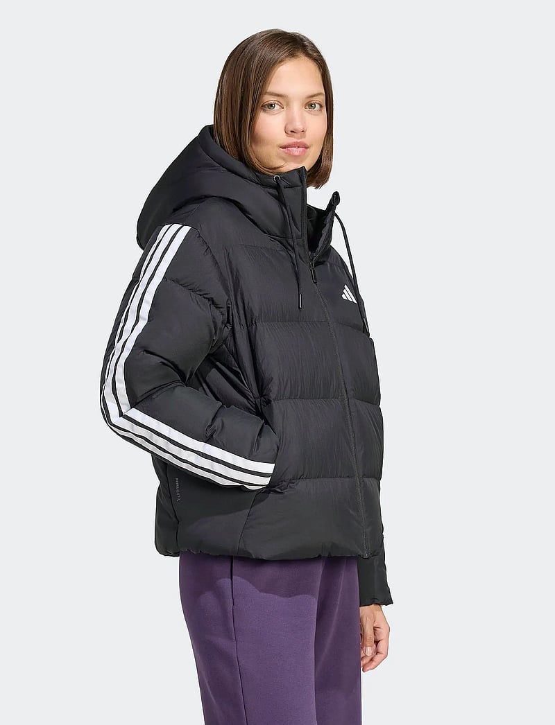 adidas Sportswear - W ESS 3S P D HO - winterjacken - black - 3