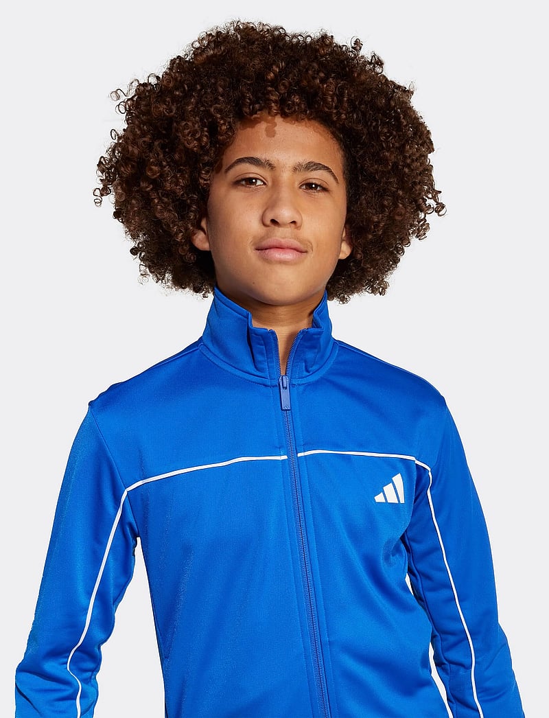 adidas Sportswear - J CP TR TS - trainingsanzug - royblu/white - 4