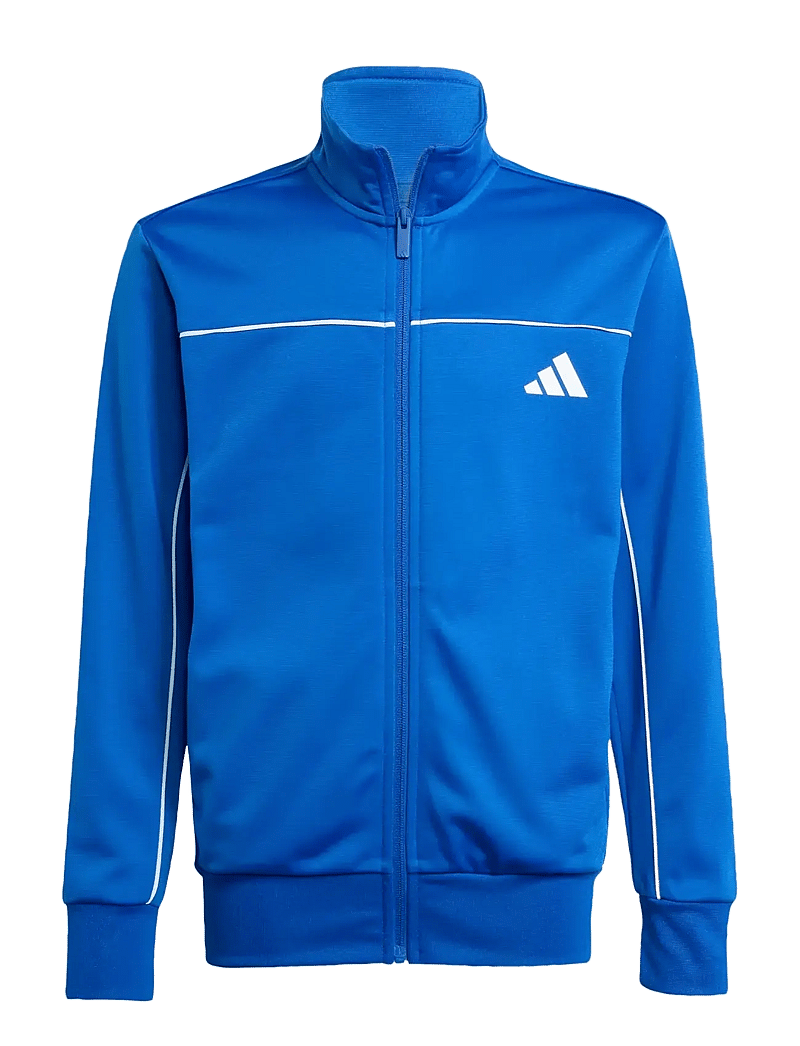 adidas Sportswear - J CP TR TS - trainingsanzug - royblu/white - 2