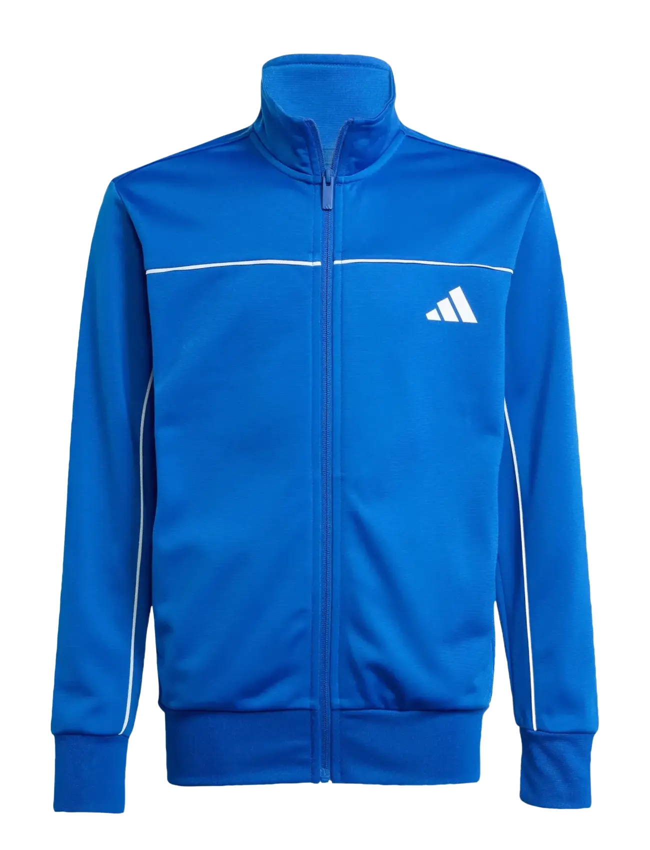 adidas Sportswear - J CP TR TS - trainingsanzug - royblu/white - 2