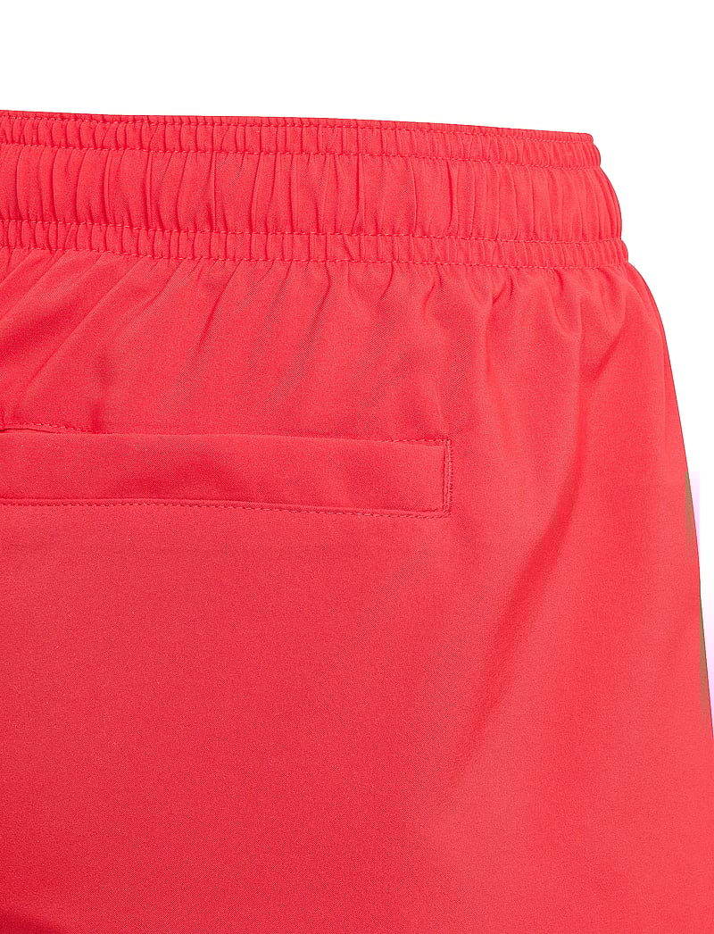 adidas Sportswear - COLL SH BY - badebukser - purrub/white - 3