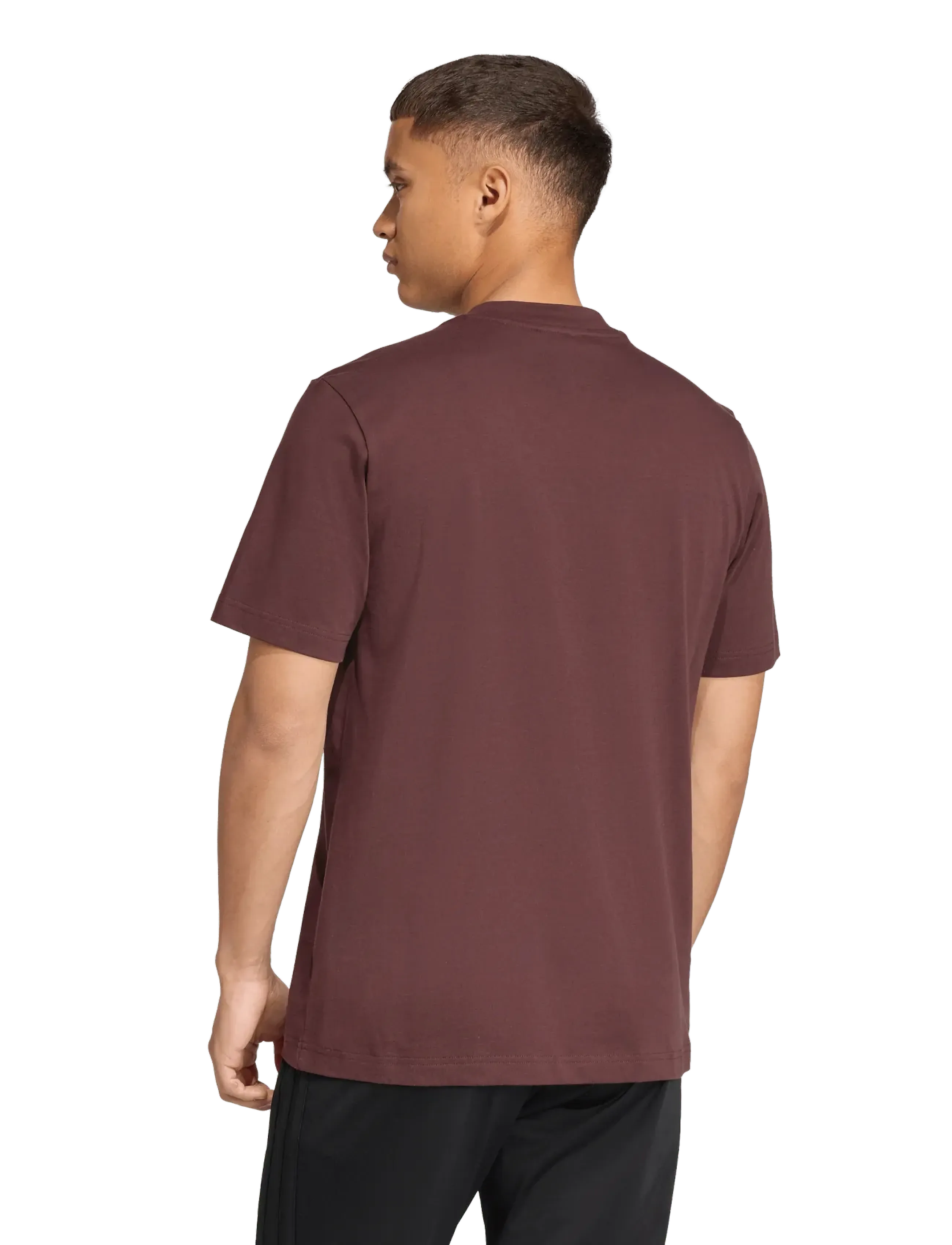 adidas Sportswear - M LIN SJ T - t-shirts - shabrn/black - 2