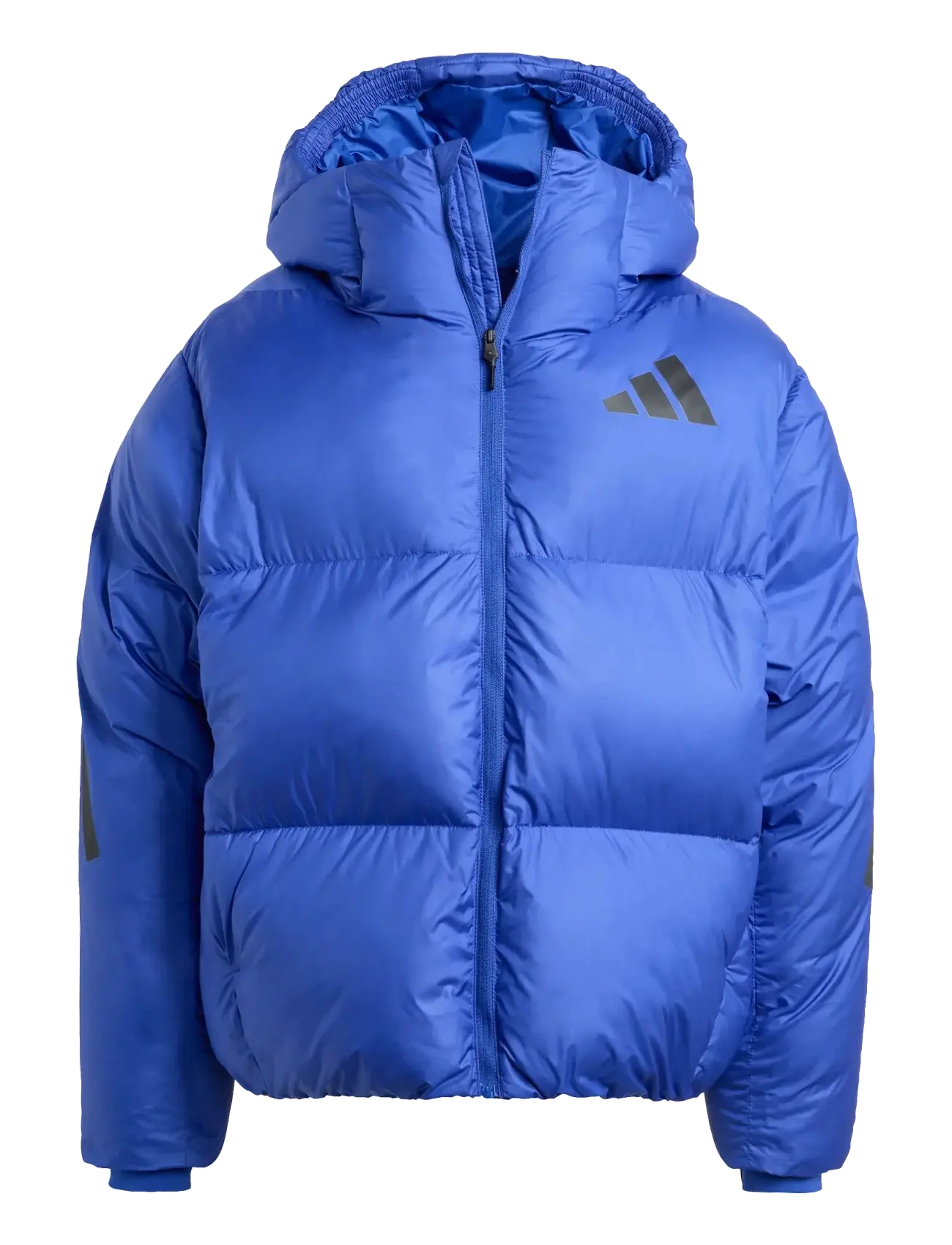 ADIDAS SPORTSWEAR J Z.n.e. Jkt Blau - 176 - Kinder
