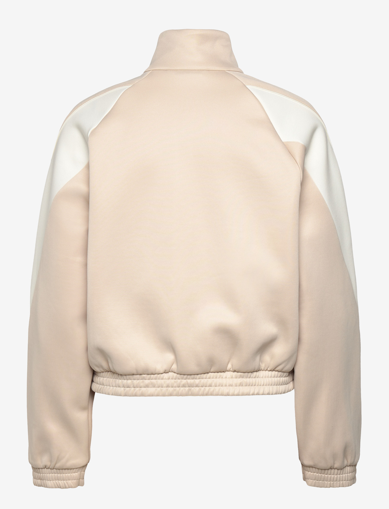 adidas Sportswear - W STADIUM TT - sportjacken - crli/owhite - 1