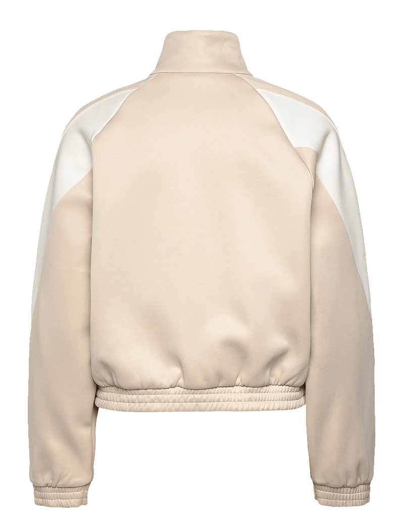 adidas Sportswear - W STADIUM TT - sportjacken - crli/owhite - 1