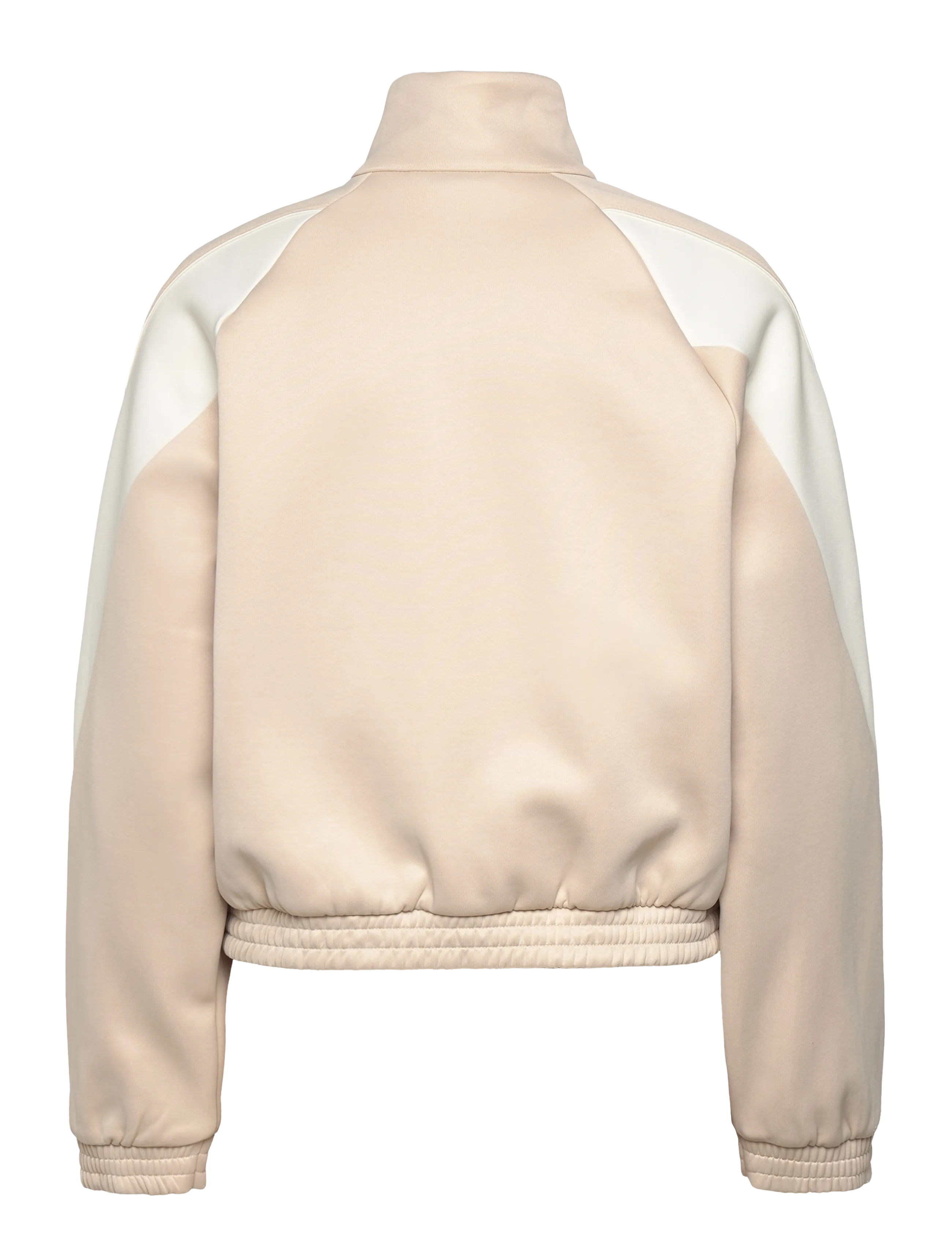 adidas Sportswear - W STADIUM TT - sportjacken - crli/owhite - 1