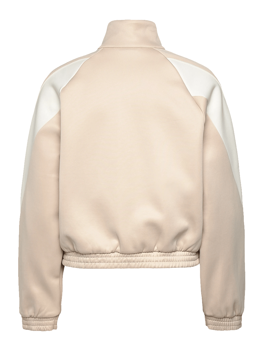 adidas Sportswear - W STADIUM TT - sportjacken - crli/owhite - 1