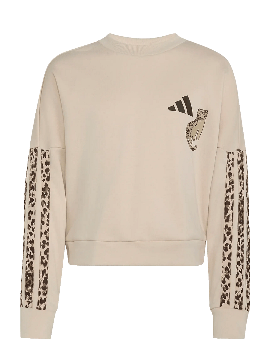adidas Sportswear - LG AN 3S SET - joggingsæt & matchende sæt - crli/multco/dbrown - 3