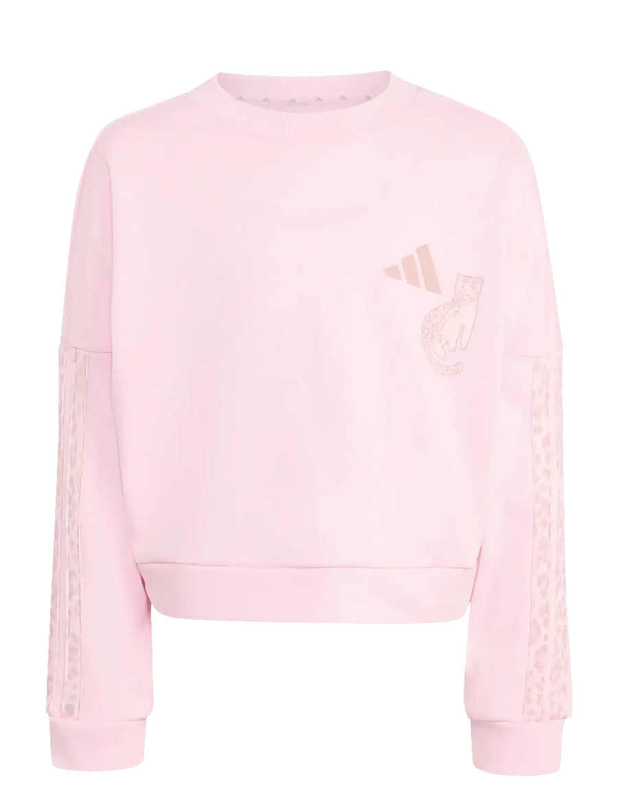 adidas Sportswear - LG AN 3S SET - treeningriided ja 2-osalised komplektid - clpink/multco/dualil - 3