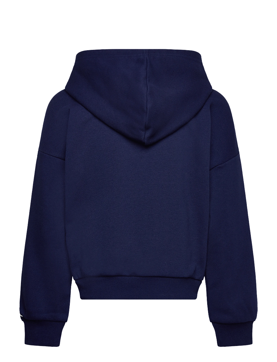 adidas Sportswear - J STD HD - kapuzenpullover - dkblue/puor - 1