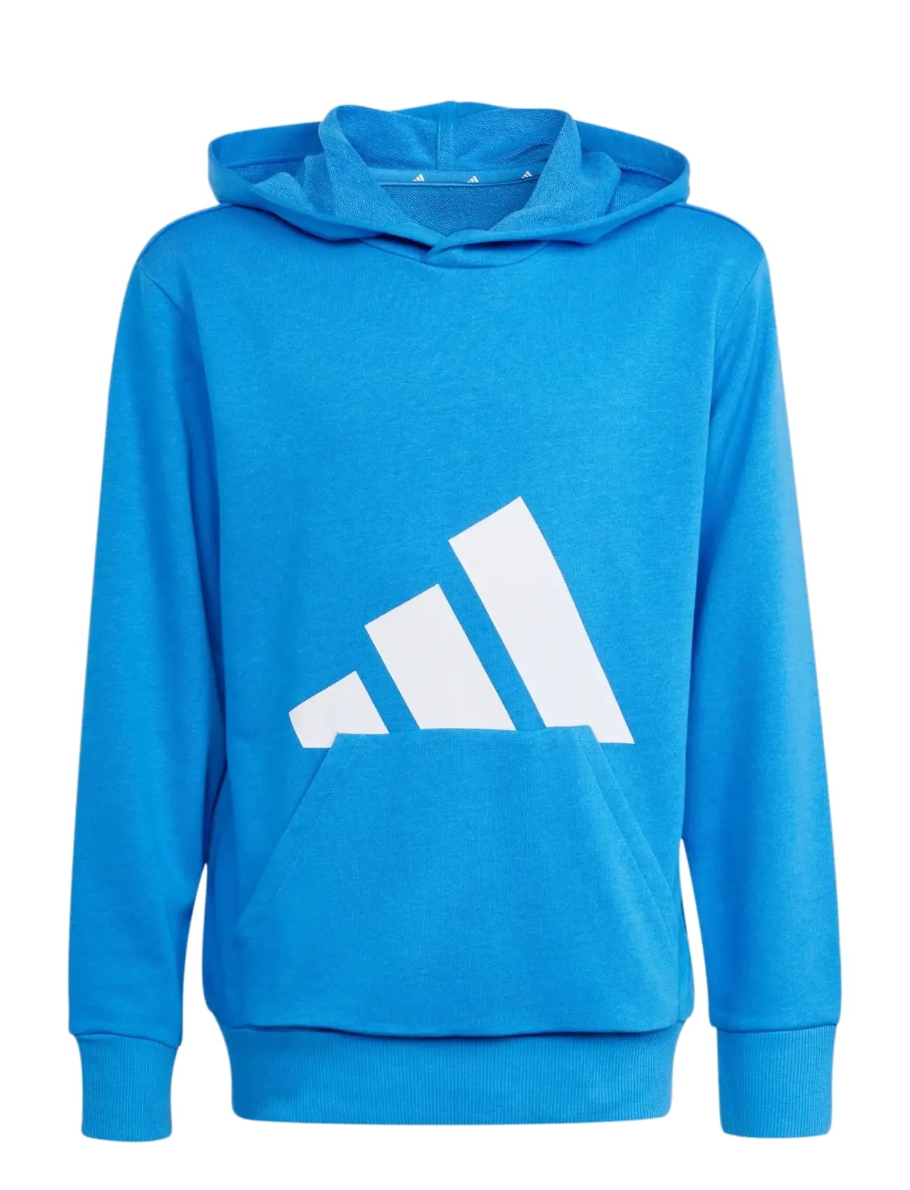 adidas Sportswear J BL FT HD 280 - Kleidung - RAYBLU/WHITE / blue
