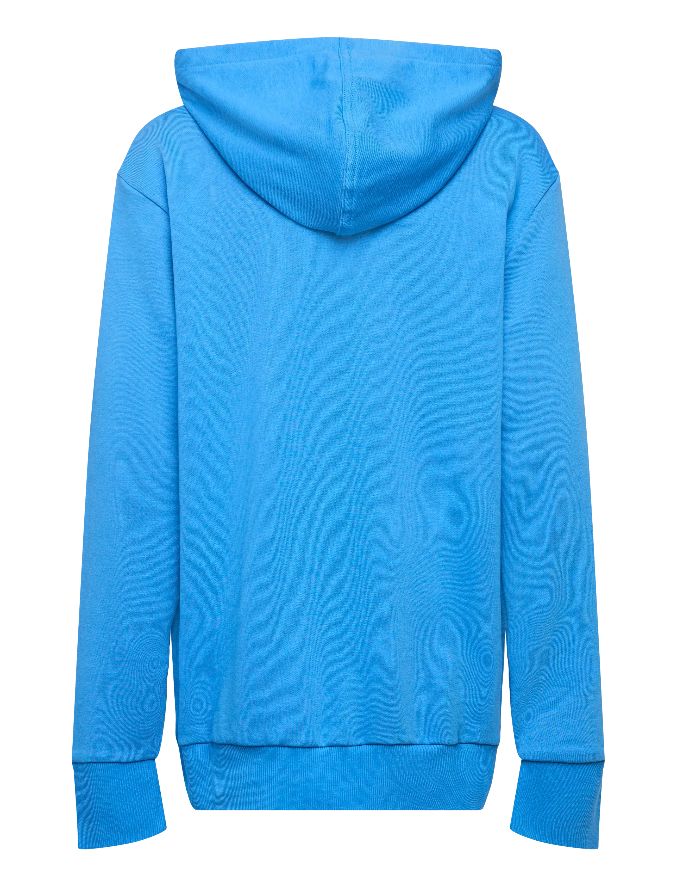 adidas Sportswear - J BL FT HD 280 - hættetrøjer - rayblu/white - 2