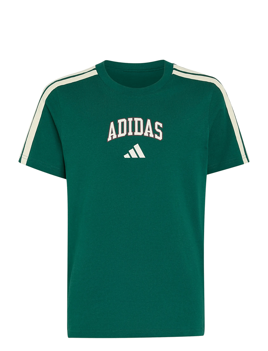 adidas Sportswear - J COLLEG T - sportstoppe - cgreen - 1