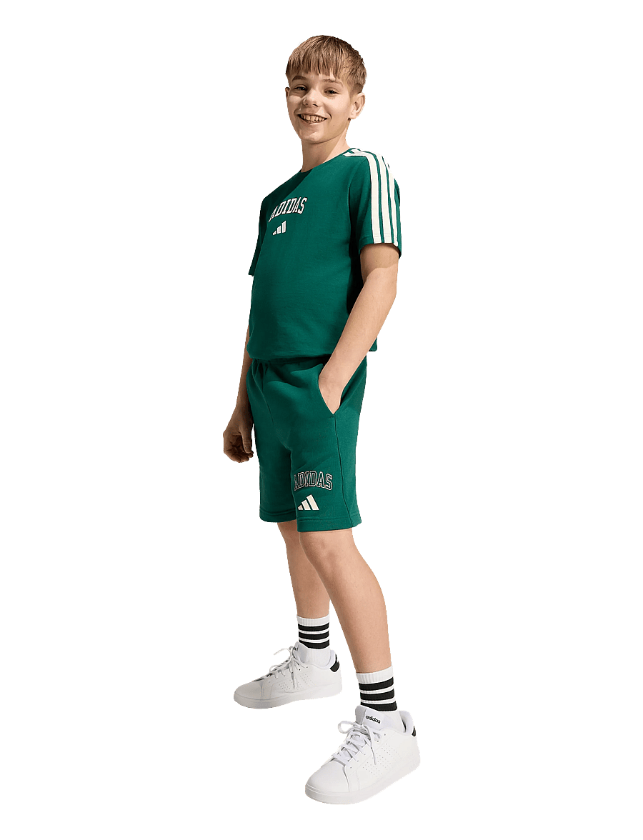 adidas Sportswear - J COLLEG T - sportstoppe - cgreen - 0