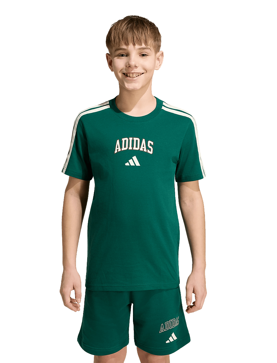 adidas Sportswear - J COLLEG T - sportstoppe - cgreen - 4